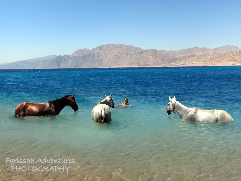 Blue Beach Club Hotel Dahab Exterior photo